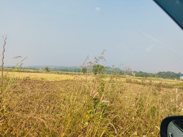 undefined, chirle Commercial Land 1089 Sq.Ft. In Chirle Navi Mumbai 8009023