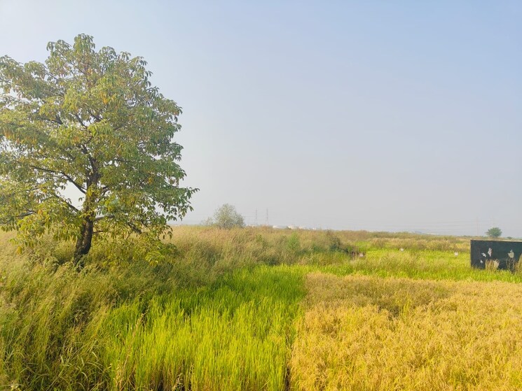 undefined, chirle Commercial Land 1089 Sq.Ft. In Chirle Navi Mumbai 8009033