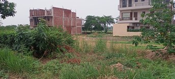 5 BHK Villa For Resale in Sector 35 Chandigarh  8009030