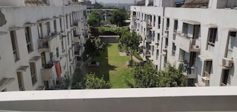 3 BHK Apartment For Rent in Vatika City Homes Sector 83 Gurgaon  8009053