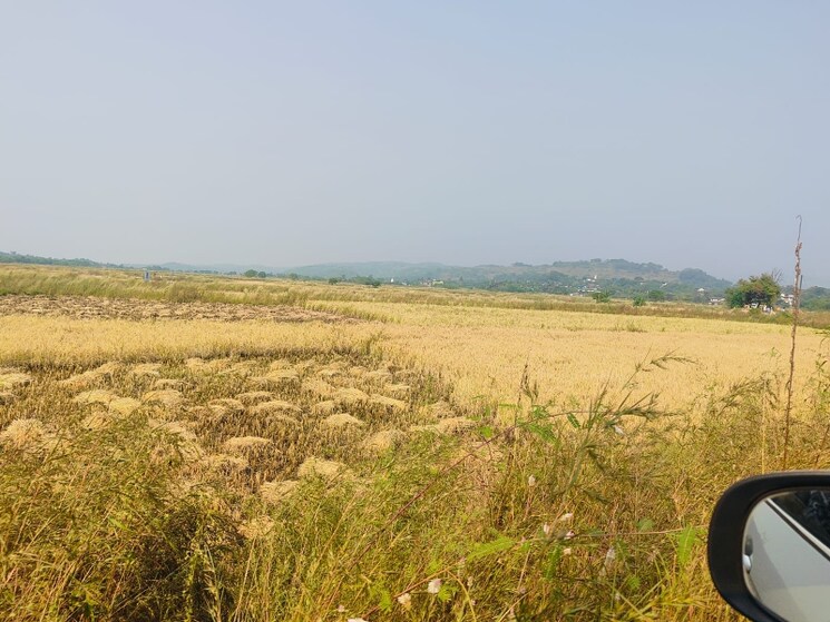 undefined, chirle Commercial Land 1089 Sq.Ft. In Chirle Navi Mumbai 8009063