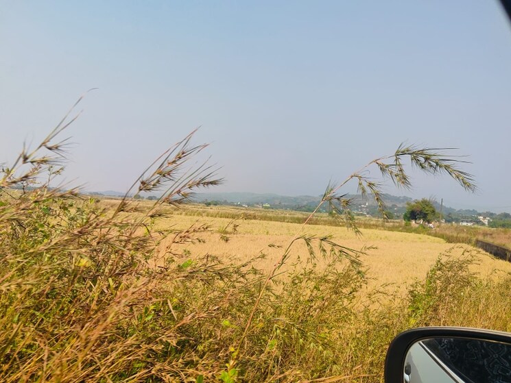 Exterior View, chirle Commercial Land 1089 Sq.Ft. In Chirle Navi Mumbai 8009063