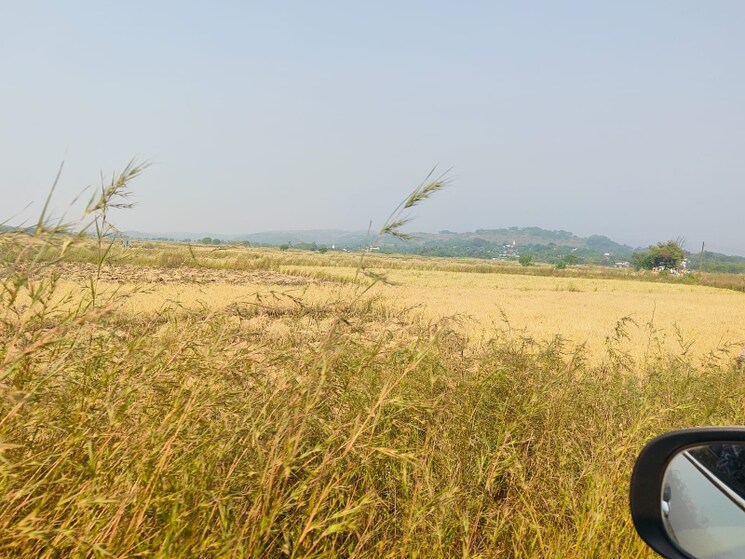 undefined, chirle Commercial Land 1089 Sq.Ft. In Chirle Navi Mumbai 8009063