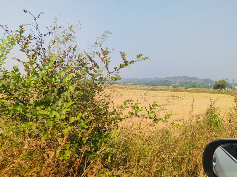 Land For Sale in Legal Property Developers