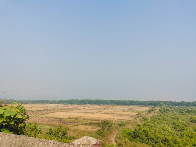 undefined, chirle Commercial Land 1089 Sq.Ft. In Chirle Navi Mumbai 8009081