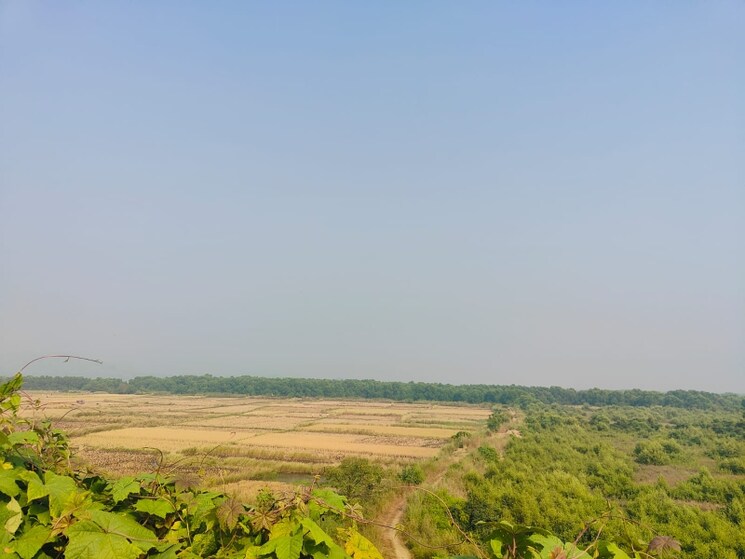 undefined, chirle Commercial Land 1089 Sq.Ft. In Chirle Navi Mumbai 8009081