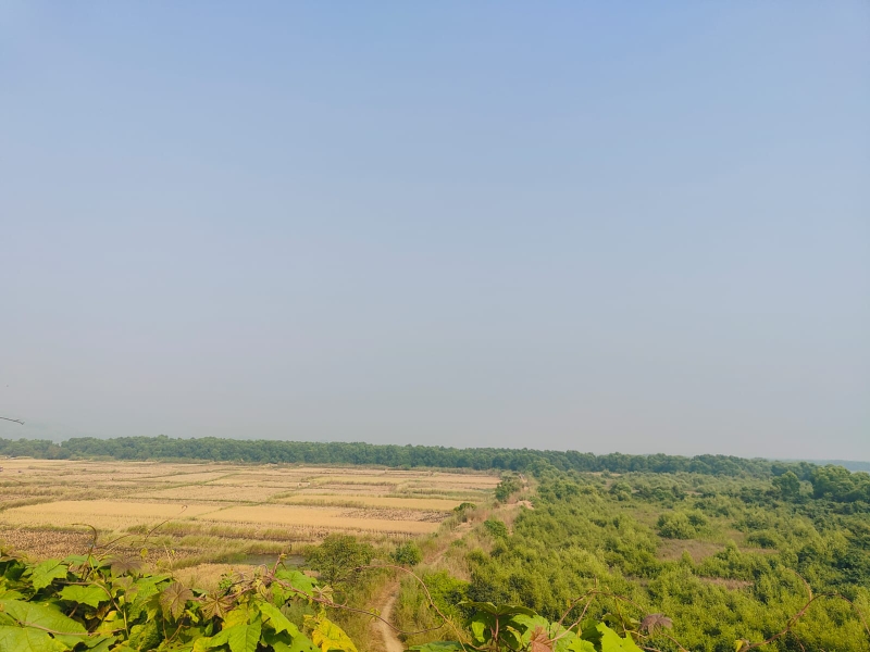 Land For Sale in Legal Property Developers