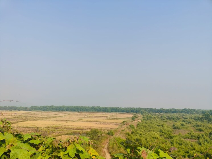 undefined, chirle Commercial Land 1089 Sq.Ft. In Chirle Navi Mumbai 8009081