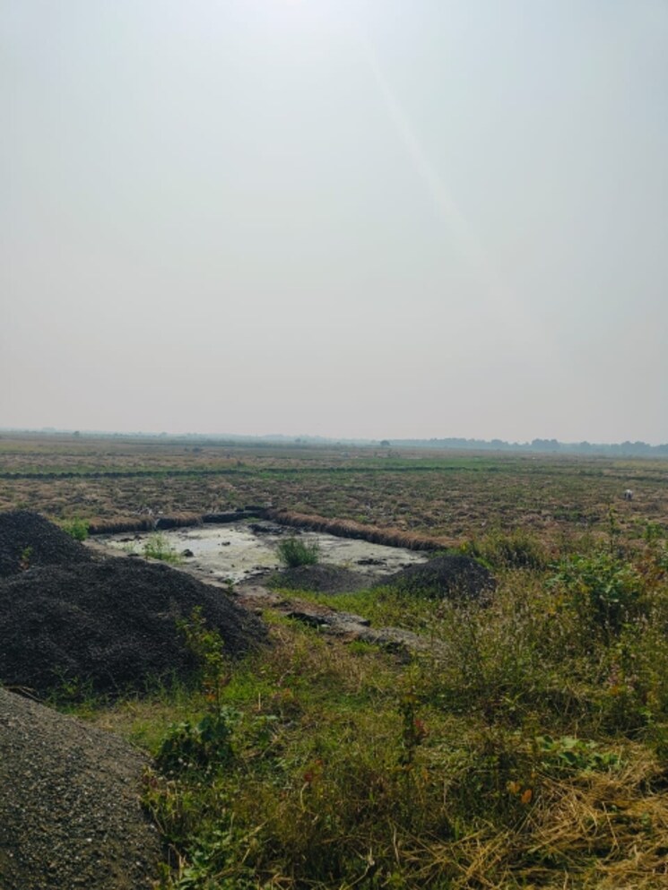 undefined, chirle Commercial Land 1089 Sq.Ft. In Chirle Navi Mumbai 8009189