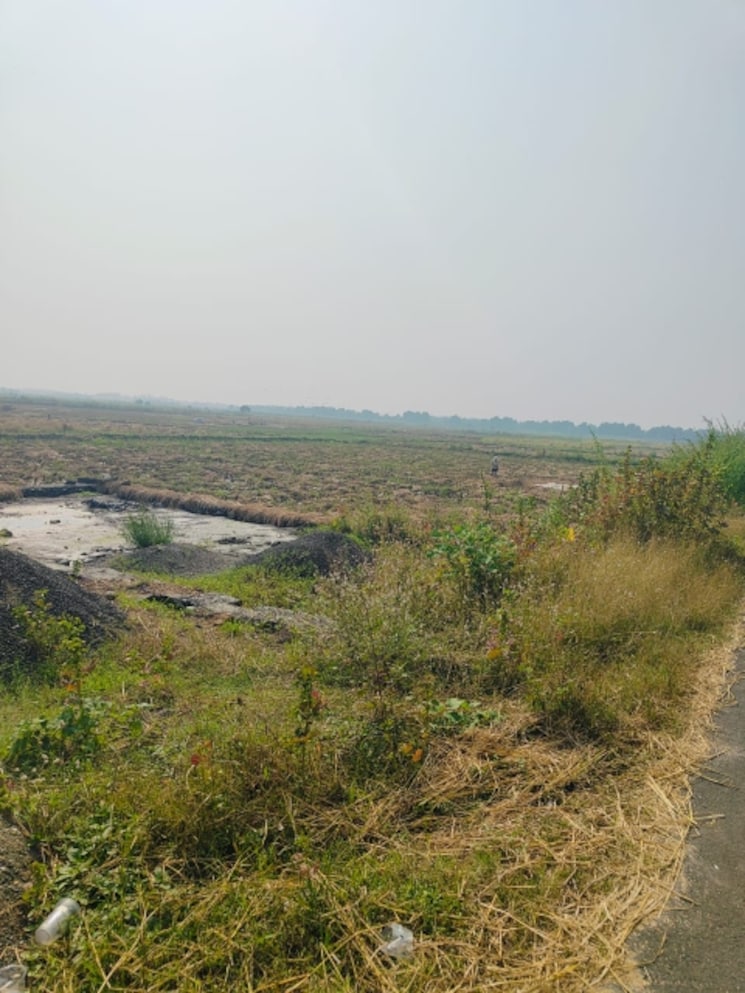 undefined, chirle Commercial Land 1089 Sq.Ft. In Chirle Navi Mumbai 8009189