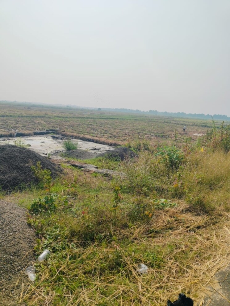 undefined, chirle Commercial Land 1089 Sq.Ft. In Chirle Navi Mumbai 8009189