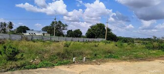 Plot For Resale in Iyer Bungalow Madurai  8008238