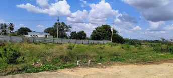 Plot For Resale in Iyer Bungalow Madurai  8009294