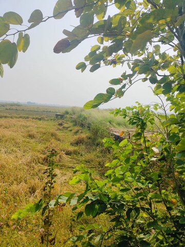  Land – Garden View at Chirle - for Sale
