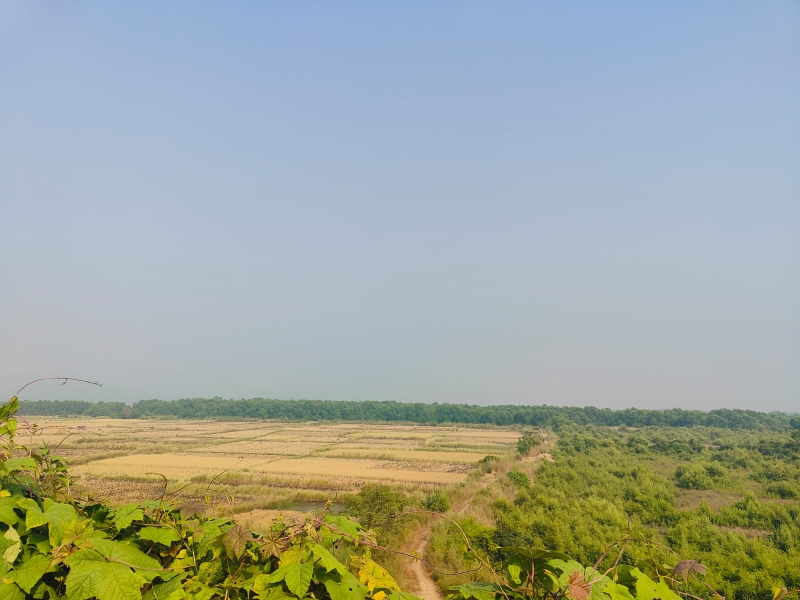 Land For Sale in Legal Property Developers