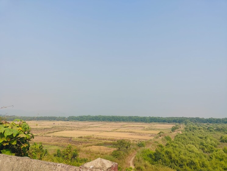 undefined, chirle Commercial Land 1089 Sq.Ft. In Chirle Navi Mumbai 8009468