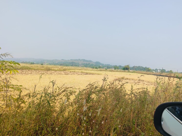 undefined, chirle Commercial Land 1089 Sq.Ft. In Chirle Navi Mumbai 8009468