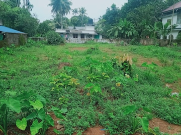 Plot For Resale in Perumbavoor Kochi  8009480