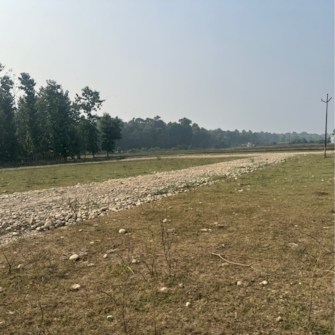 Plot For Resale in Shimla Bypass Road Dehradun  8009585