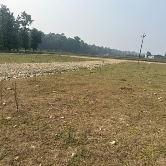 Plot For Resale in Shimla Bypass Road Dehradun  8009585