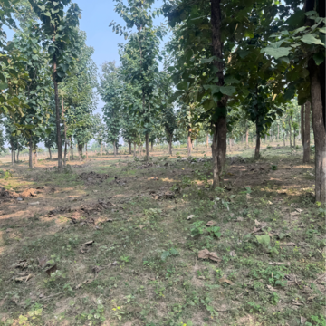  Plot – Exterior View View at Shimla Bypass Road - for Sale