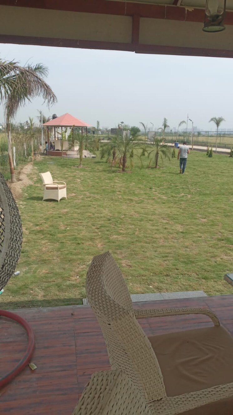Garden, tappal  10000 Sq.Ft. Plot In Tappal Aligarh 8009598