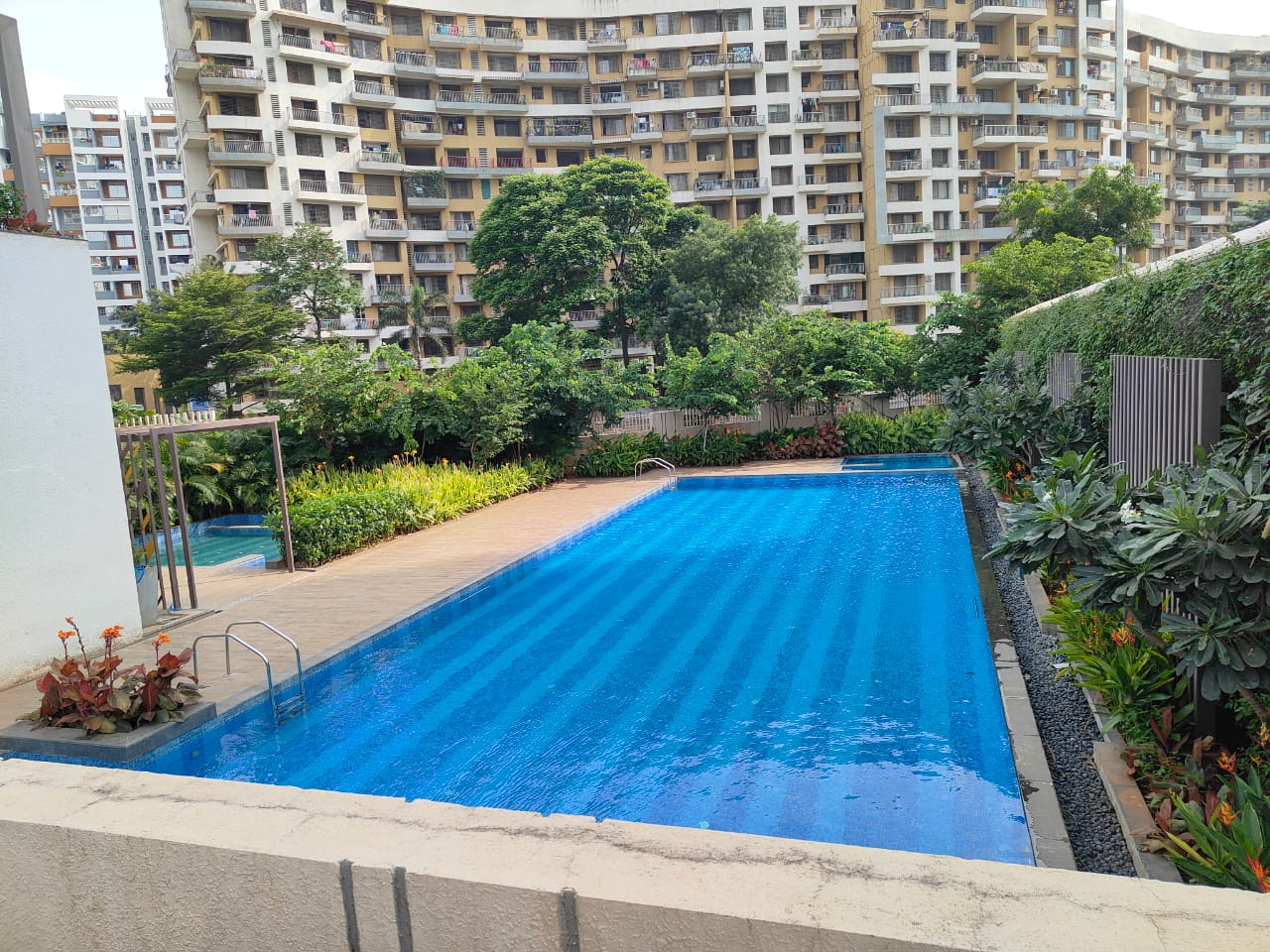 3 BHK Apartment For Sale in Kalpataru Exquisite Sierra