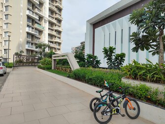 3 BHK Apartment For Resale in Kalpataru Exquisite Sierra Wakad Pune  8009670