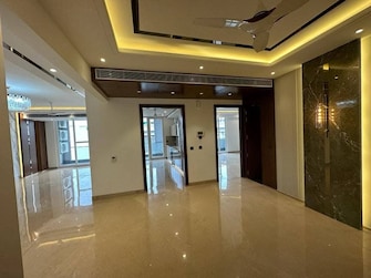 3 BHK Builder Floor For Rent in Ansal Plaza Sector-23 Sector 23 Gurgaon  8009813