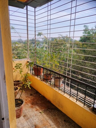 1 BHK Apartment For Rent in Sneh Paradise Paud Road Pune  8009908