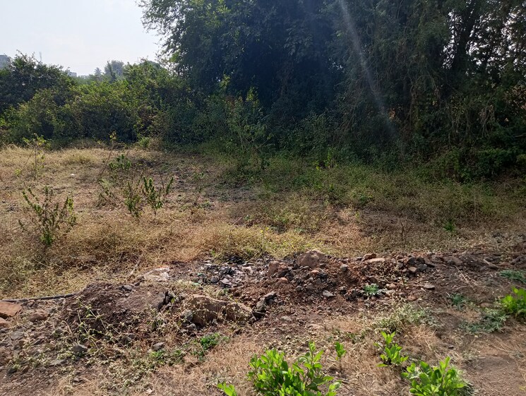 undefined, gangapur road  164 Sq.Yd. Plot In Gangapur Road Nashik 8009965