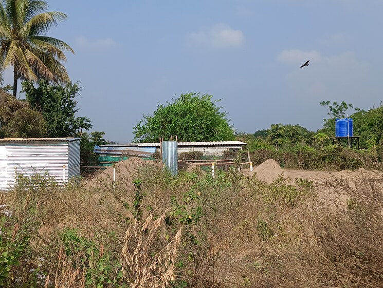 undefined, gangapur road  164 Sq.Yd. Plot In Gangapur Road Nashik 8009965