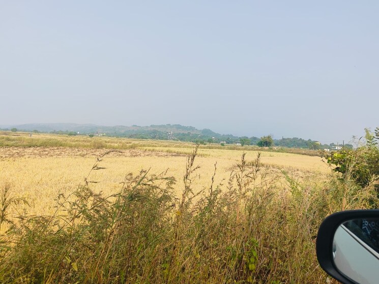 undefined, chirle Commercial Land 1089 Sq.Ft. In Chirle Navi Mumbai 8009982