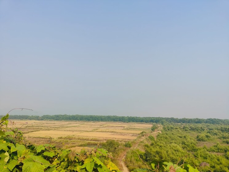 undefined, chirle Commercial Land 1089 Sq.Ft. In Chirle Navi Mumbai 8009982