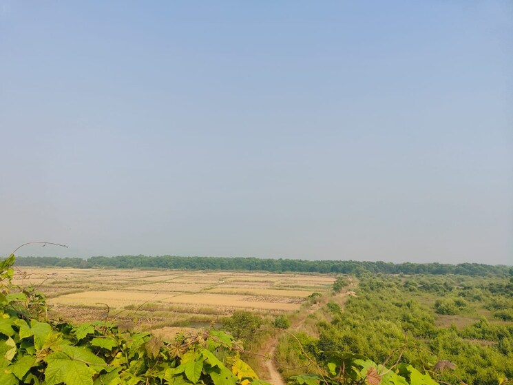 undefined, chirle Commercial Land 1089 Sq.Ft. In Chirle Navi Mumbai 8009982