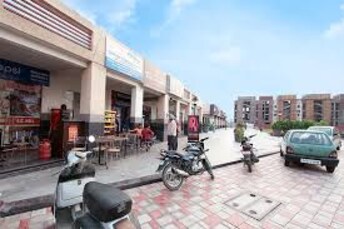 Commercial Showroom 1200 Sq.Ft. For Rent in North Mullanpur Chandigarh  8009997