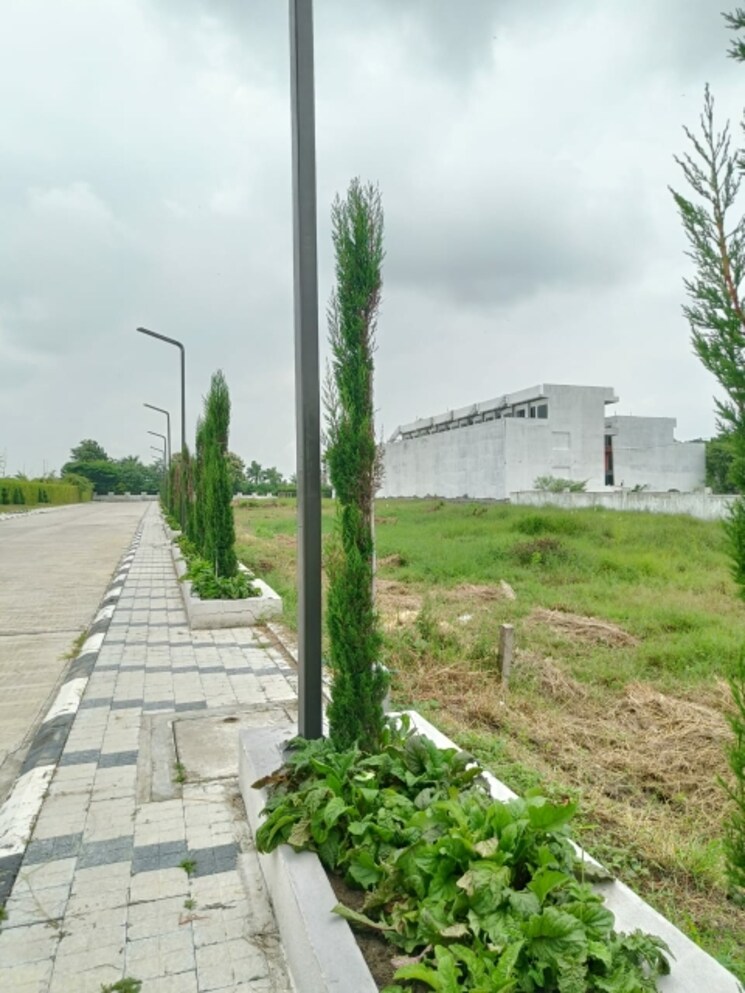 Garden, ujjain road  1000 Sq.Ft. Plot In Ujjain Road Indore 8010020