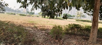 Plot Area in  Plot at Gaur Yamuna City 7th Parkview, Gaur Yamuna City – for Sale