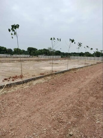 Plot For Resale in Sector 10 Greater Noida Greater Noida  8010243