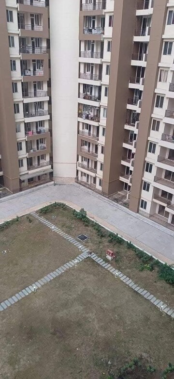 3 BHK Apartment For Sale in Amrapali Golf Homes, Sector 4, Greater Noida