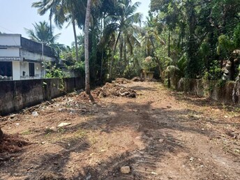 Plot For Resale in Vypin Kochi  8010416