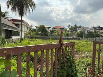 Plot For Resale in Thrippunithura Kochi  8010555