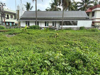 Plot For Resale in Thrippunithura Kochi  8010555