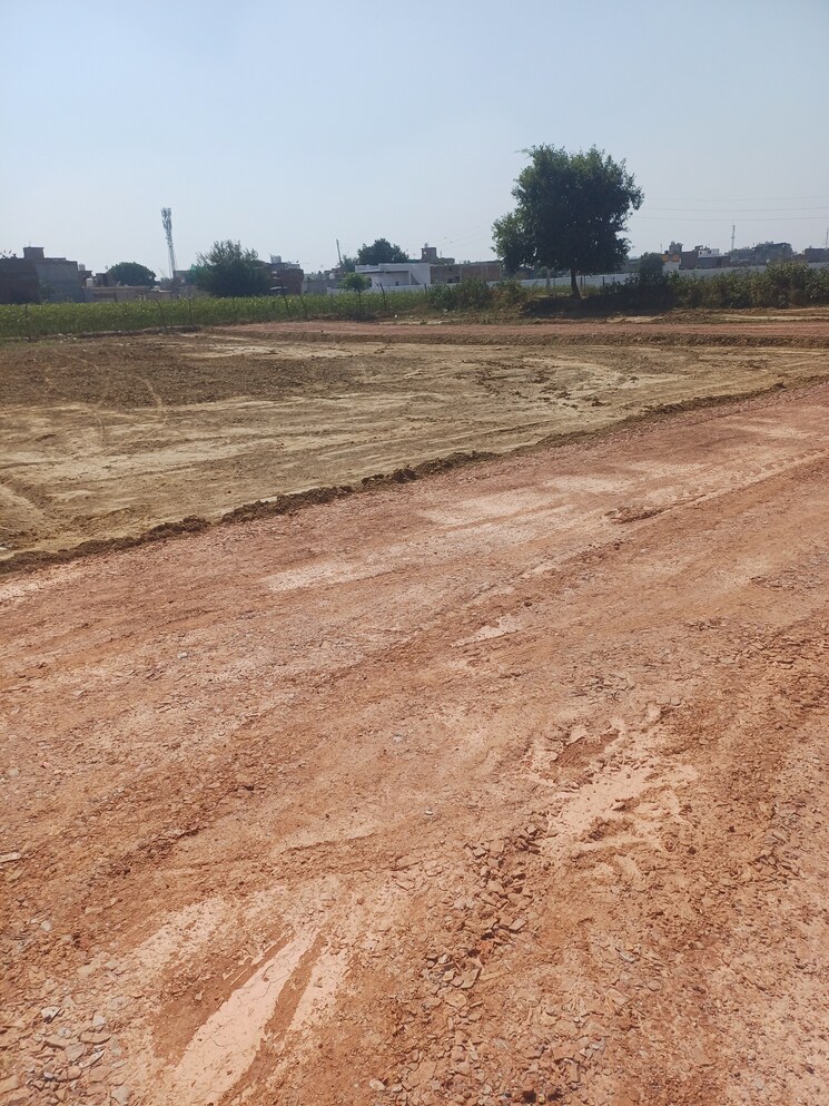 undefined, bhopani  71 Sq.Yd. Plot In Bhopani Faridabad 8010650