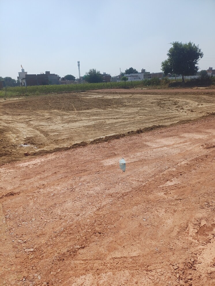 undefined, bhopani  72 Sq.Yd. Plot In Bhopani Faridabad 8010664