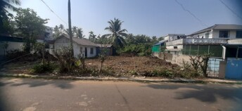 Plot For Resale in Puthenpally Kochi  8010701