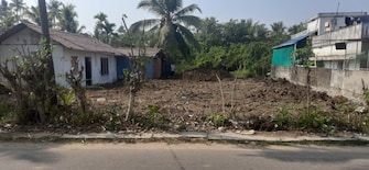 Plot For Resale in Puthenpally Kochi  8010701