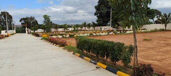 Plot For Resale in Jigani Bangalore  8010918