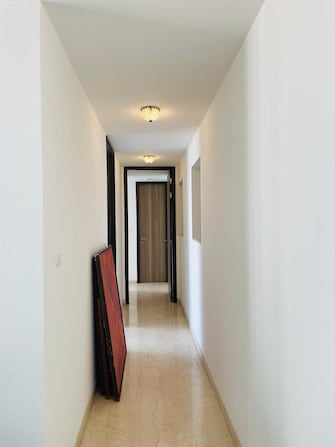 2.5 BHK Apartment For Rent in Lodha The Park Side Worli Mumbai  8010942