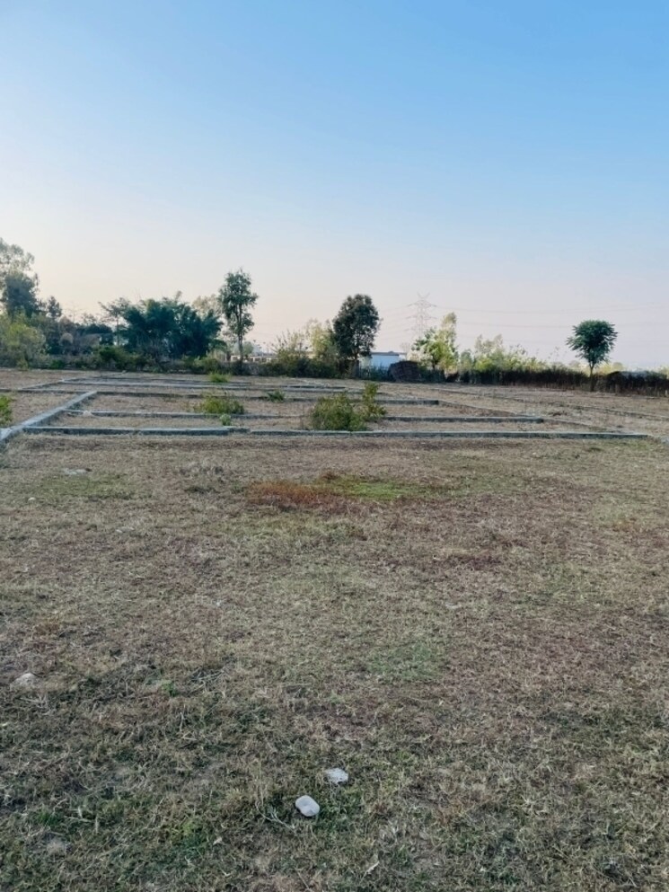 undefined, badowala  240 Sq.Yd. Plot In Badowala Dehradun 8011177